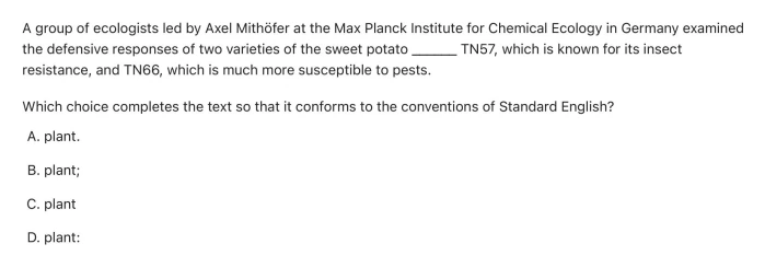 Question 11 passage and answer choices