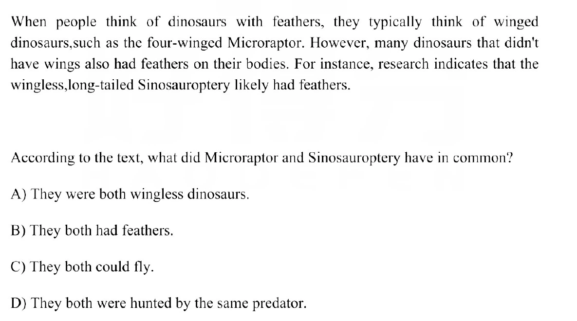 Question 7 passage and answer choices
