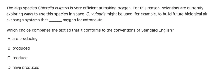 Question 11 passage and answer choices