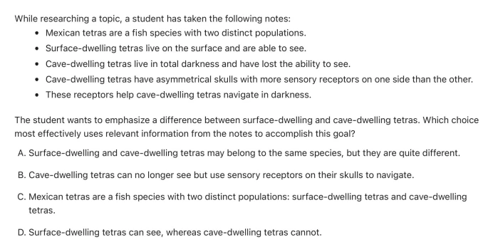 Question 4 passage and answer choices
