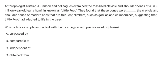 Question 19 passage and answer choices